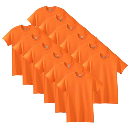 Gildan Adult Heavy Cotton T-Shirt, Style G5000, Multipack