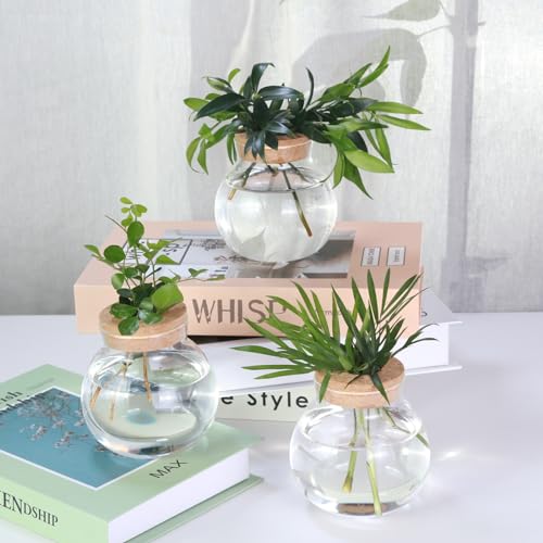 Aurfedes A-1044 Tabletop Plant Propagation Station,Aquatic Plant Culture Glass Mini Vase,With Wooden Dish,Gifts thumb #2