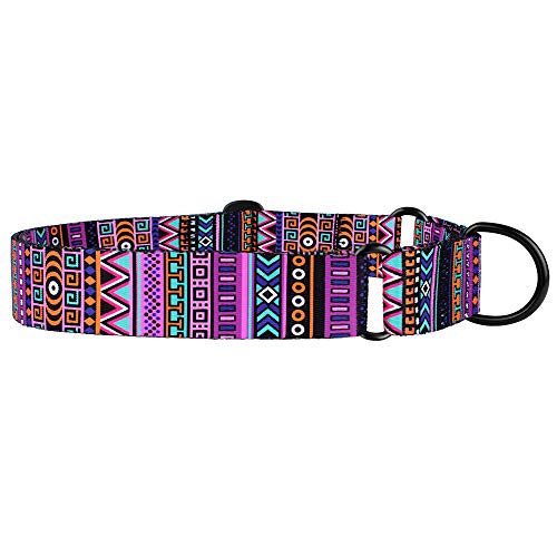 Collardirect Martingale Collars For Dogs Heavy Duty Tribal Pattern Adjustable Soft Safety Training Nylon Wide Pet Collar Medium Large (Pattern 2, M Neck Size 12"-17") #TOP3