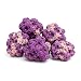 Caribsea Life Rock, 40-Pound