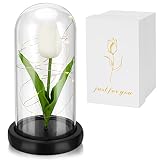 Panven Birthdays Gifts for Women, Forever Tulip Artificial Flowers Gift for Mom Grandma Her, Unique