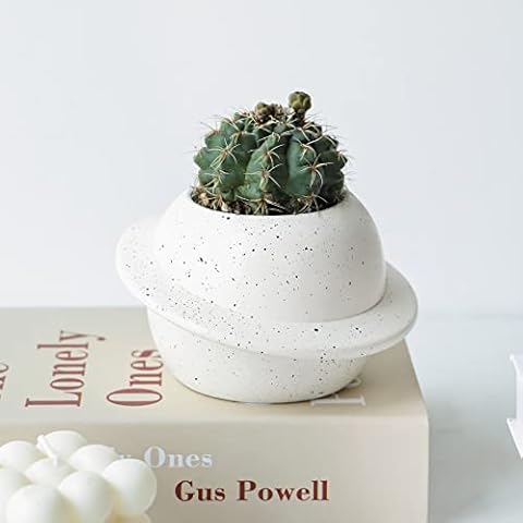 FROZZUR Planet Planter Pot with Drainage Holes, Cute Small Pots for Succulent Decor, Ceramic Creative Cactus Flowerpot Christmas Decor for Outdoor or Indoor Plants, White Cover