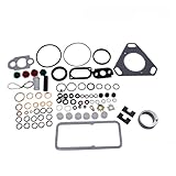  ZXHNB Kit de réparation de revêtement de Lame de Joint de Pompe d\'injection de Carburant, adapté for CAV, Lucas, Delphi, DPA, Diesel, Ford, Fiat, Hesston, IH, IMT, JCB, Perkins (Color : 4)