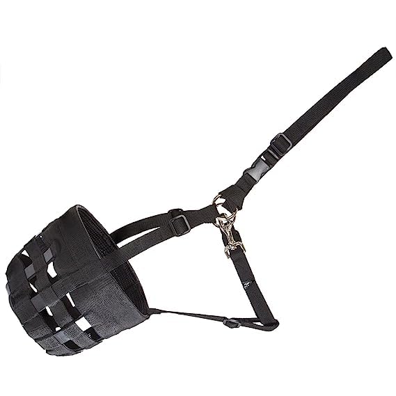 HORSE RIDING GEARS and TRACK SET (HORSE MUZZLE) (B0C8SZRJ5L) Amazon Price History, Amazon Price Tracker