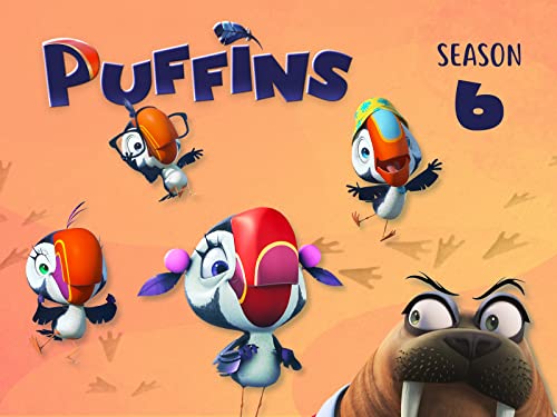 Clip: Puffins