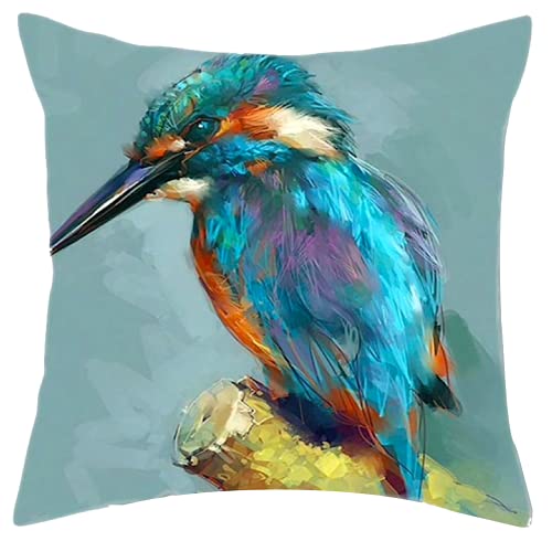 The Beach Stop Decorative Colourful Tropical Blue Kingfisher Bird Scatter Cushion Cover | Living Room, Bedroom & Sofa Decor | 45x45cm 18x18” | Kingfisher