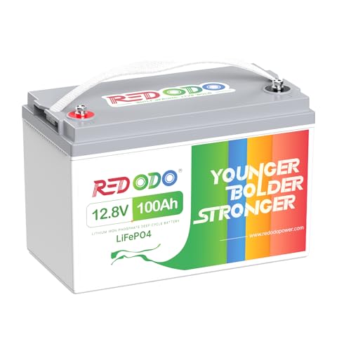Redodo 12V 100Ah リン酸鉄リチウムバッテリー 1280Wh 10年寿命 LiFePO4...