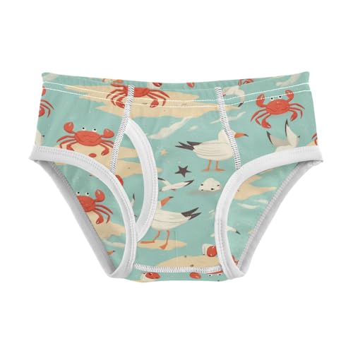 Wusikd Crabs Seagulls Boys' Underwear Cotton Beach Boys Briefs Soft Toddler Underwear 2T