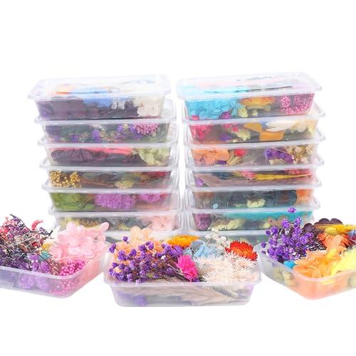 Set de flores secas naturales para manualidades 17x13x4cm miniatura 1