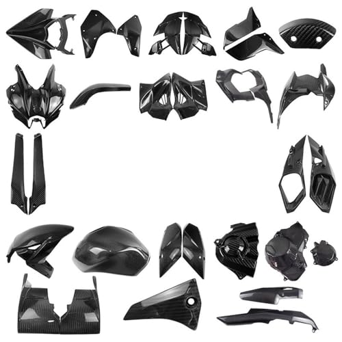 Aileron Carbone H2 et Accessoires de Carénage pour Sorties sur Route - 2