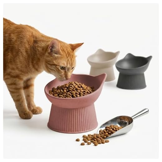 Ergonomischer Katzennapf für fressfreudige Katzen