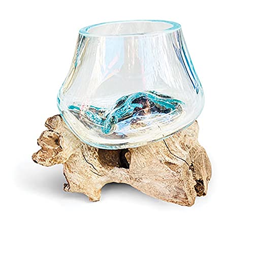 Beautiful 11cm dia glass vase bowl intricately blown onto a teak root - ideal for flowers or an indoor terrarium - each one unique - Image 3