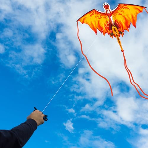 Drachen Kinder für Erwachsene, 4–8 8–12 Jahren, leicht zu fliegen, Kinderdrachen für Jungen, Mädchen, Drachen für Anfänger, großer Drachen für Strandausflug, Park