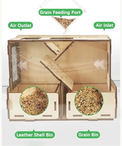 Fendeuse de coquilles soufflées pour aliments de graines pour oiseaux - 6