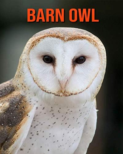 Barn owl: Fun Learning Facts About Barn owl : Amazon.sg: Books