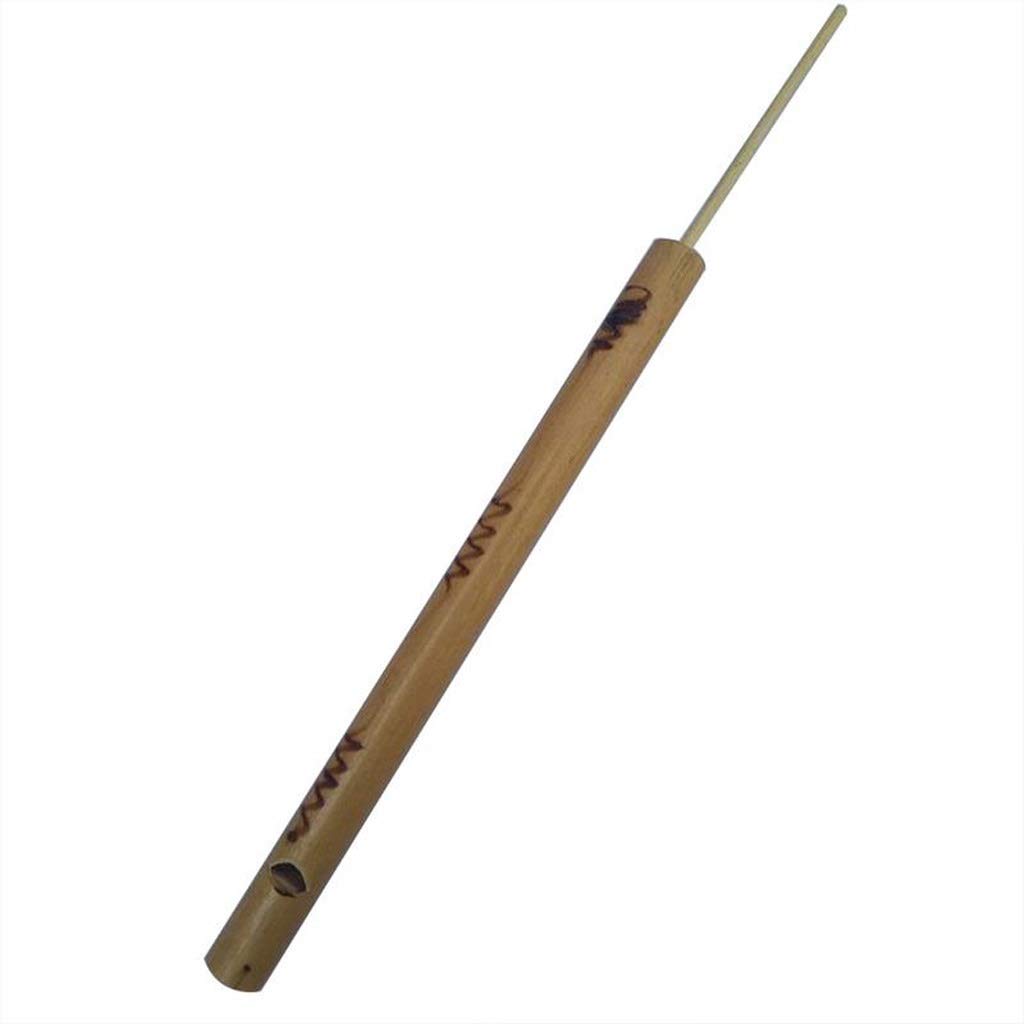 Training Duiven Fluit Fluitje De Vogel Duif Duif M