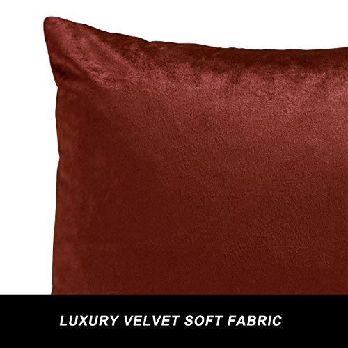 Image of GIGIZAZA Decor Throw Couch Pillow Covers,Burnt Orange Sofa Cushion Pillow Covers,Velvet Pillow Cases 24 x 24inch