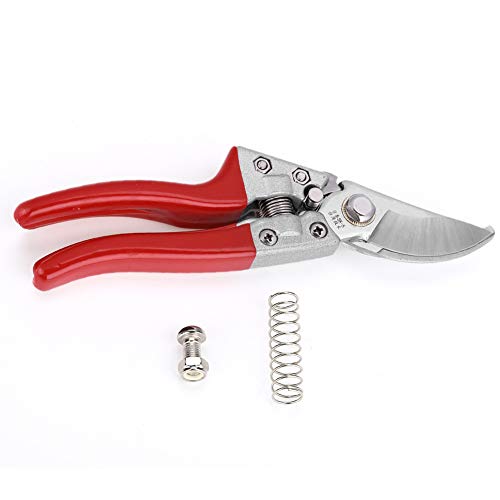 木剪定はさみ 庭鋏 高耐久剪定鋏 プロの園芸はさみ 果樹 花 盆栽用 SK5 炭素鋼 8.3インチ 1個