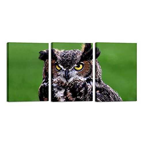 Peintures encadrées hibou 3 pièces pour habiller un grand mur vide