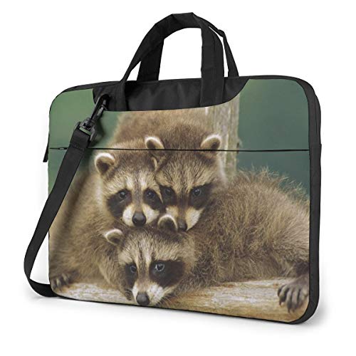 킢 ACO} PCP[X m[gp\RobO bvgbv یP[X PCobO Ռz y rWlXobO nhobO u[tP[X 񂰃obO t ΂ߊ|obO 13/14/15.6C`