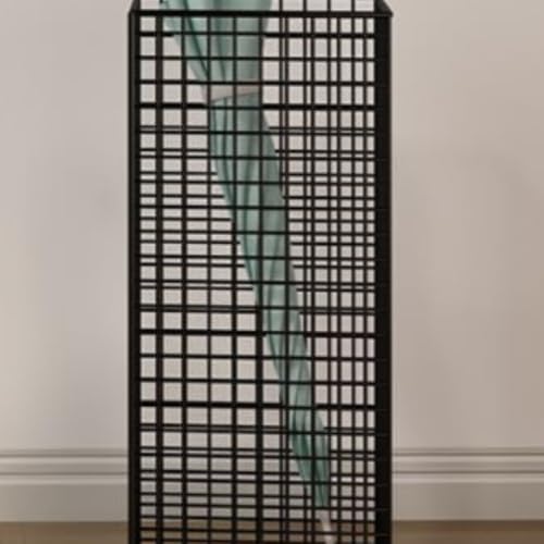 P   P X  bN AuX^h Pu P ܂肽ݎP[ P[ Cx[ CbN k e Vv (ubN,{̂)