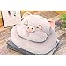 LXESWM Almohada De Cerdo Relleno De La Felpa De Albergue Almohada Almohada Dormir Estudiante Oficina De Almohadas For Dormir Suave Preciosa Animales Juguetes Comfort Muñecas Regalo