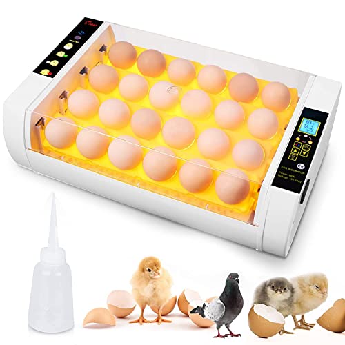 16 Best Chicken Egg Incubator 2022 Reviews and Buying Guide East