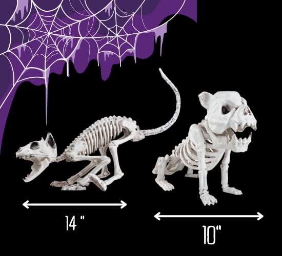 Amazon.co.jp: 猫とフレンチブルドッグ ハロウィーン スケルトン (2