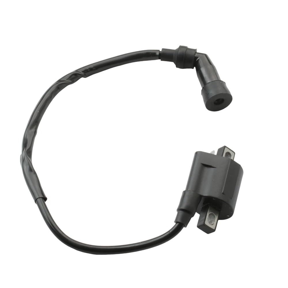 Amazon | イグニッション コイル オートバイ用イグニッションコイル Amazon | イグニッション コイル オートバイ用イグニッションコイル