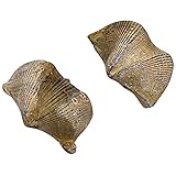 brachiopodes fossiles Échantillon : surface lisse, soin de la peau tendre, les petits jouets ne prennent pas de place et apportent du plaisir aux enfants, brachiopode