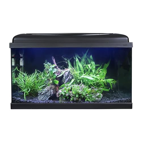 Swell Aquarium 60Cm Tropical Freshwater Led Fish Tank Kit 54Ltrs