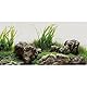 MIRRORANG 120x50cm Seetang Aquarium Hintergrund Wasserpflanze Flussbett & See Aquarium Hintergrund Stein Aquarium Hintergrund Vinyl Hintergrund