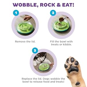 Outward Hound Nina Ottosson Wobble Bowl Dog Game -Interactive Slow Feeder Bowl Dog Game Outward Hound Nina Ottosson Wobble Bowl Dog Game Interactive Slow Feeder Bowl Dog Game
