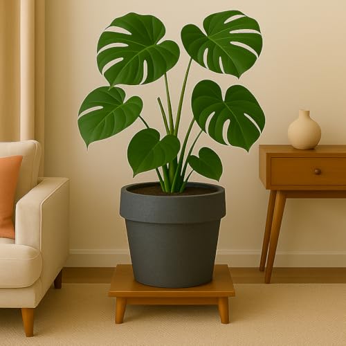 Image of Bigsmall Designed Plant Pots, Premium Durable Polymer Flower Pots for Indoor & Outdoor Plants - Lightweight, Stylish, and Weather-Resistant Garden Planters (Stemma-Grey Marble, 13 Inch)