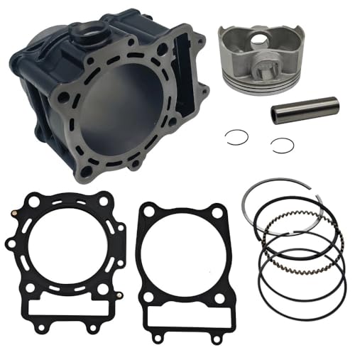 Kit de pistón de cilindro YX 600 para motor 196MS-1032000 repuesto LU065298