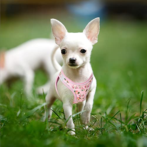HEELE Geschirr Hund Klein Weich Hunde Geschirr Air Mesh Verstellbar Sicher Kontrolle Welpengeschirr Weste Hunde Brustgeschirr für Gehen, Laufen, Training, Reflektierend, Blume Pink, XS
