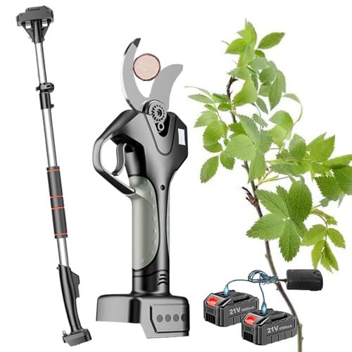 YMXEURSC Tijeras de podar eléctricas con Poste de extensión para Rama de árbol de 0-50 mm de diámetro, Tijeras eléctricas para jardinería (2 Battery)