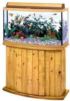bowfront aquarium stand