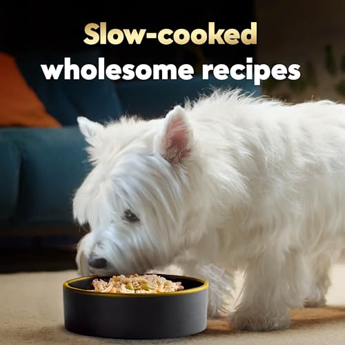 Image of Cesar Wholesome Bowls Wet Dog Food, Chicken & Apple, 3 oz, 10 Count | Real chicken #1 ingredient, slow-cooked, 9 key ingredients, no by-products or artificial flavors, easy to digest