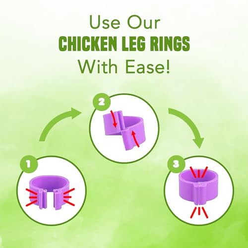 JOR Faixas de perna de frango, faixas de plástico numeradas e multicoloridas para patos, perus, páss