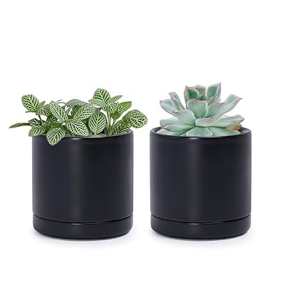 D'vine Dev Set of 2 Plants Pots, Ceramic Planter Pot for Plants with Drainage Hole and Saucer, 94-V