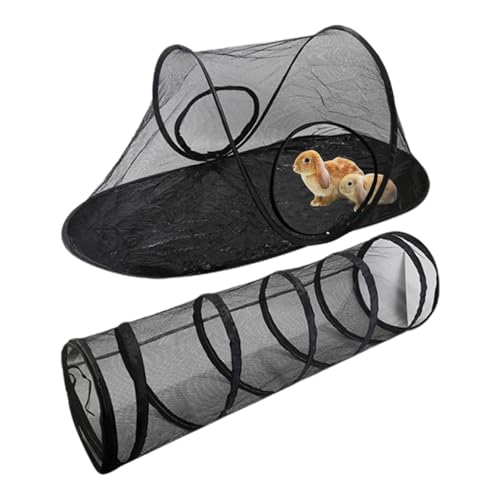 Tunnel pour chat extérieur résistant pour sécuriser les sorties