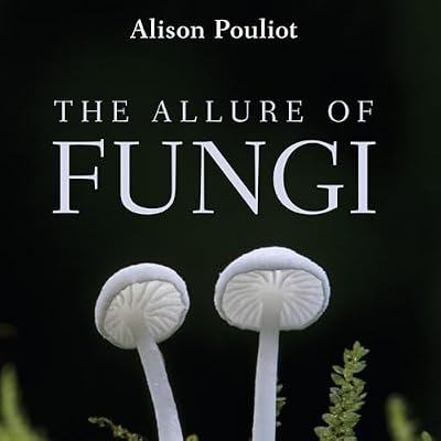 The Allure of Fungi