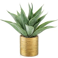 Agave -Brushed Gold