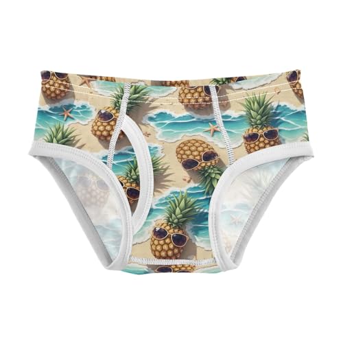 Pineapples Beach Ocean Tag Free Cotton Underwear, 2T Boys Underwear Briefs