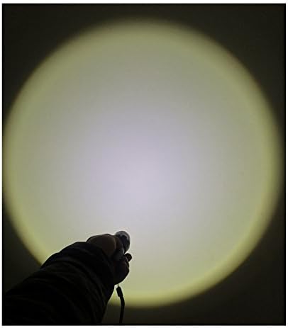 Military Lumens Tactical Waterproof Flashlight Image