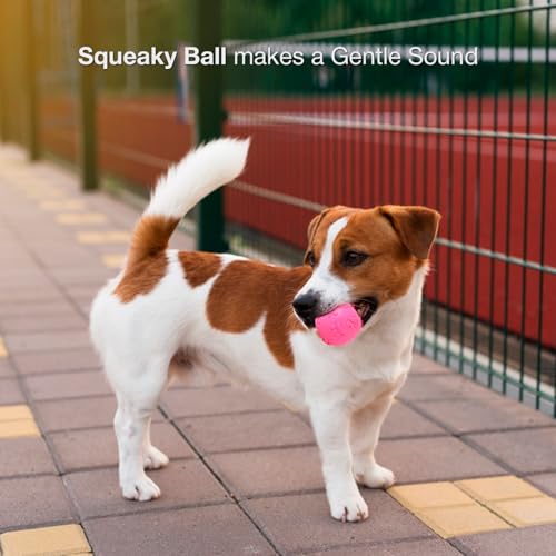 Image of Play Ball for Dogs and Pets |Durable Natural Rubber Squeaky Ball Dog Toy|Cute Puppy Paw, Fetch & Chew Safe Play Ball & Reduces Anxiety (Pink)