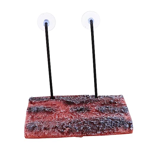 CIYODO Plataforma elevadora de Decoración Natural para acuarios de Descanso de Las decoración pecera Plataforma para Tomar el Sol de Plataforma