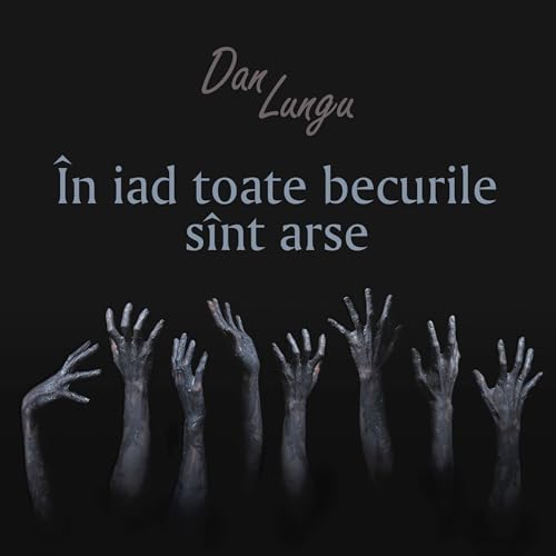 &Icirc;n iad toate becurile s&icirc;nt arse Audiolivro Por Dan Lungu capa