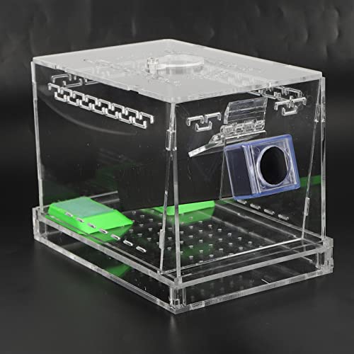 Kit de soin de cricket acrylique et boîte d'élevage d'insectes pour reptile